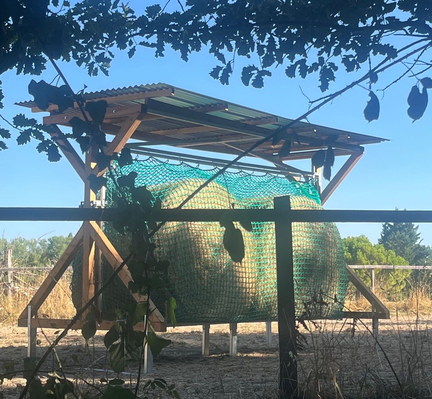 La Kantine — photo 4